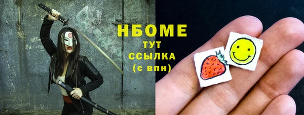 хмурый Алексин