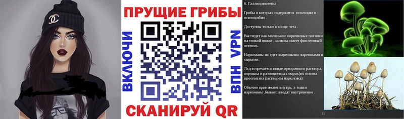 Псилоцибиновые грибы GOLDEN TEACHER  Ессентукская 